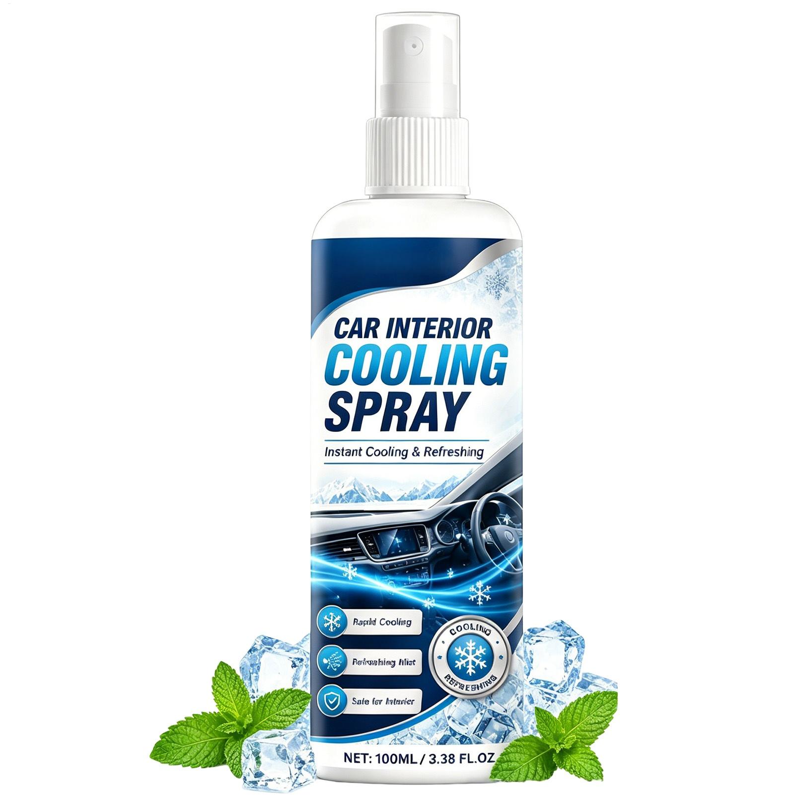 100ml Auto-Innenraum-Kühlspray – Odor Eliminator Car Bewertung und Preis